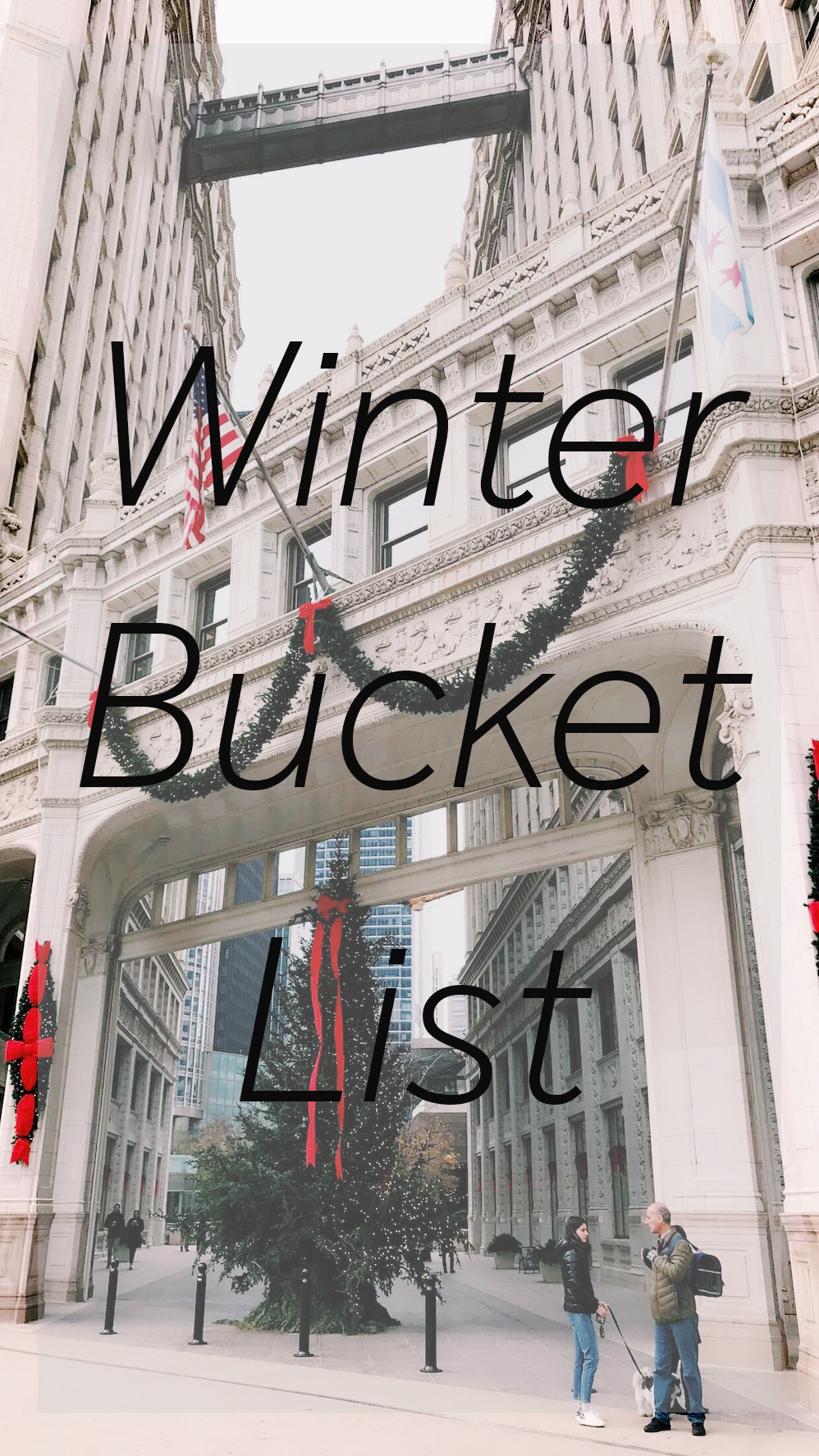 What to do in Chicago during the winter